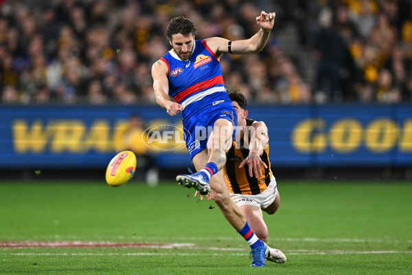 AFL 2024 Second Elimination Final - Western Bulldogs v Hawthorn - A-53725999