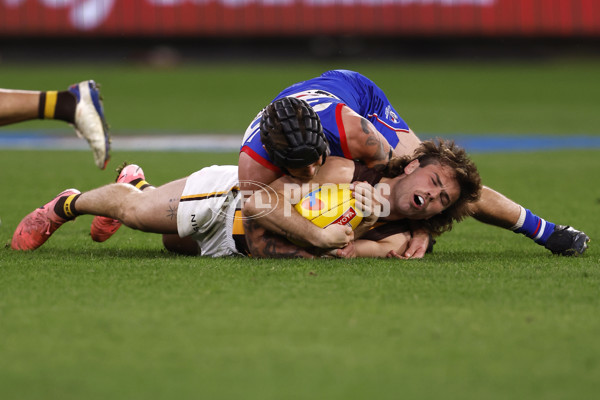 AFL 2024 Second Elimination Final - Western Bulldogs v Hawthorn - A-53726003