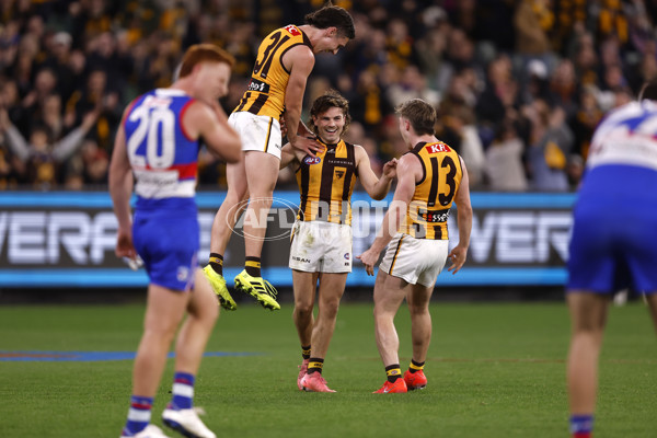 AFL 2024 Second Elimination Final - Western Bulldogs v Hawthorn - A-53726004