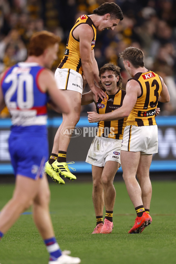 AFL 2024 Second Elimination Final - Western Bulldogs v Hawthorn - A-53726005