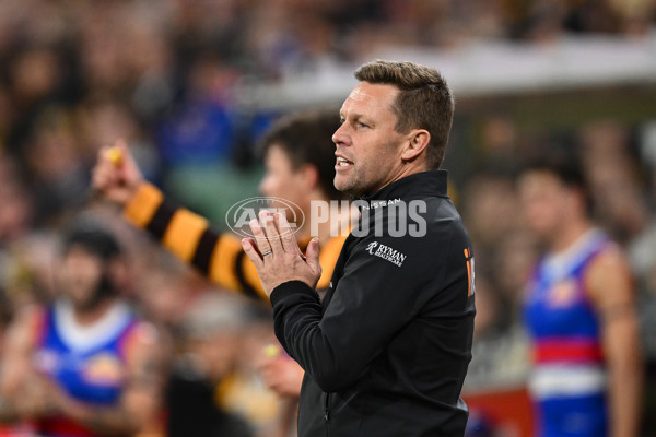 AFL 2024 Second Elimination Final - Western Bulldogs v Hawthorn - A-53726023