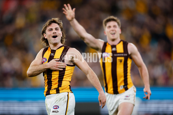 AFL 2024 Second Elimination Final - Western Bulldogs v Hawthorn - A-53726026