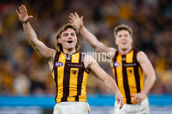 AFL 2024 Second Elimination Final - Western Bulldogs v Hawthorn - A-53726027