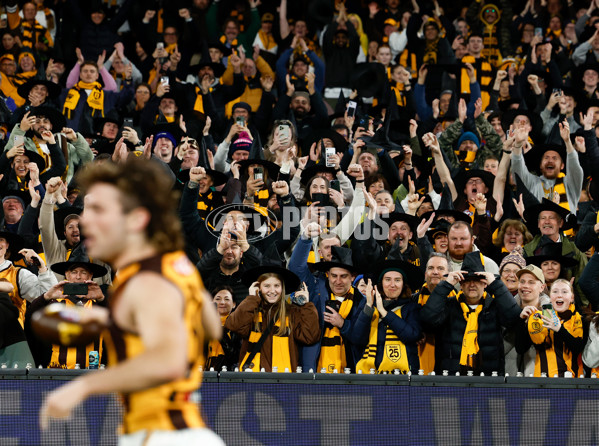 AFL 2024 Second Elimination Final - Western Bulldogs v Hawthorn - A-53727758