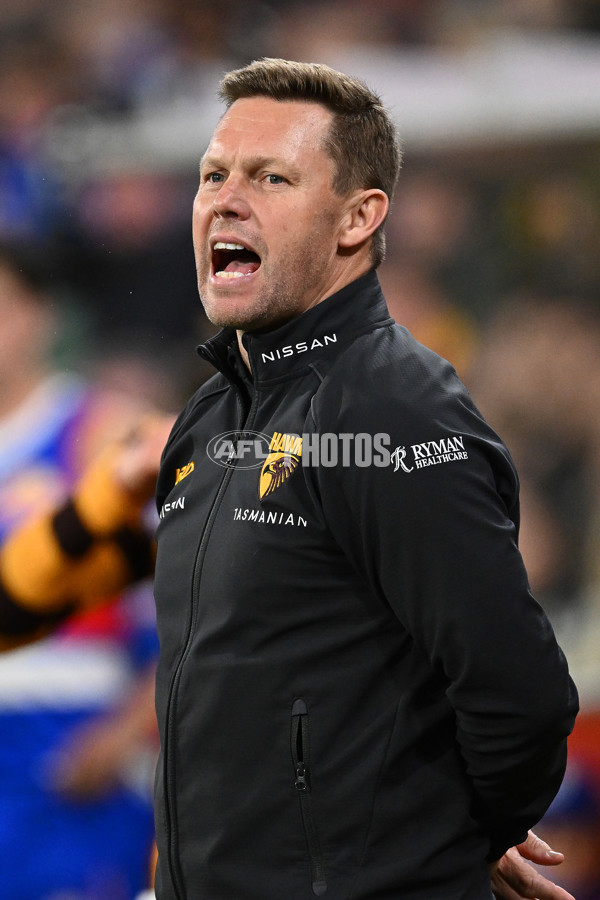 AFL 2024 Second Elimination Final - Western Bulldogs v Hawthorn - A-53727771