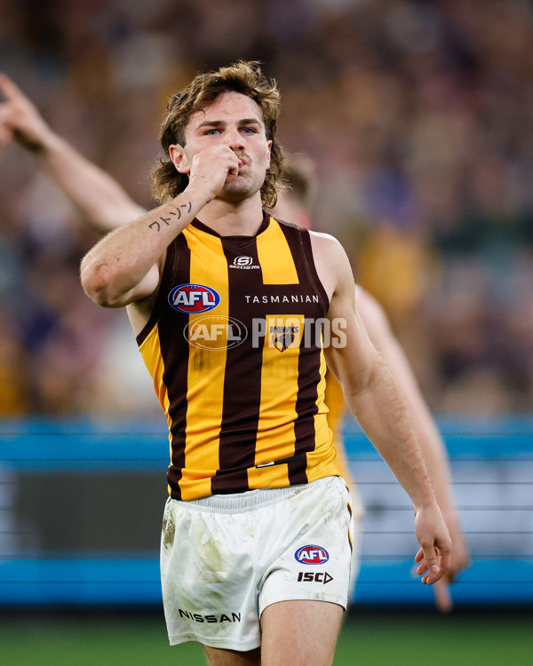 AFL 2024 Second Elimination Final - Western Bulldogs v Hawthorn - A-53727774