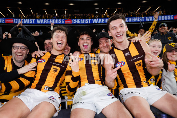 AFL 2024 Second Elimination Final - Western Bulldogs v Hawthorn - A-53727791