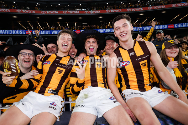 AFL 2024 Second Elimination Final - Western Bulldogs v Hawthorn - A-53727792