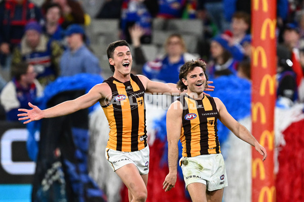 AFL 2024 Second Elimination Final - Western Bulldogs v Hawthorn - A-53727830