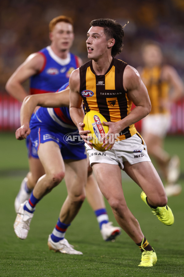 AFL 2024 Second Elimination Final - Western Bulldogs v Hawthorn - A-53727840