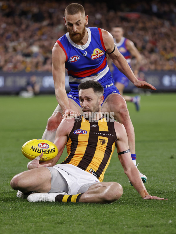 AFL 2024 Second Elimination Final - Western Bulldogs v Hawthorn - A-53727848