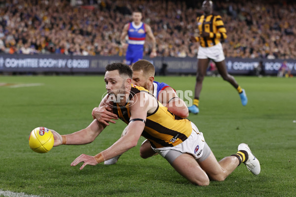 AFL 2024 Second Elimination Final - Western Bulldogs v Hawthorn - A-53727850