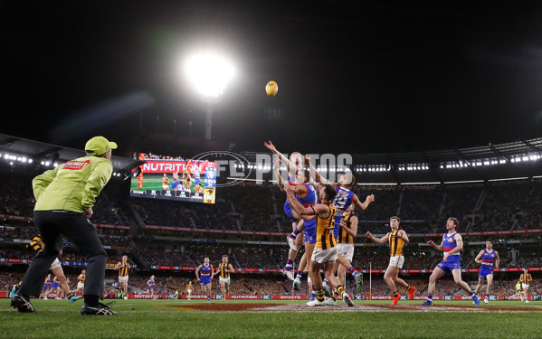 AFL 2024 Second Elimination Final - Western Bulldogs v Hawthorn - A-53728778