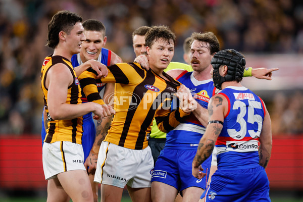 AFL 2024 Second Elimination Final - Western Bulldogs v Hawthorn - A-53728802