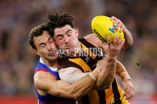 AFL 2024 Second Elimination Final - Western Bulldogs v Hawthorn - A-53728805