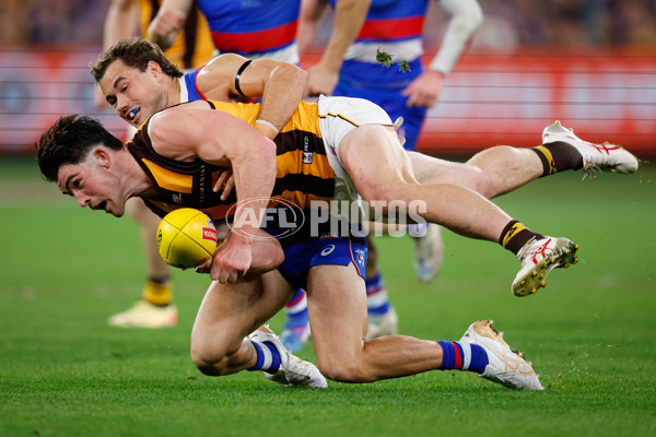 AFL 2024 Second Elimination Final - Western Bulldogs v Hawthorn - A-53728806