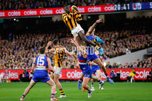 AFL 2024 Second Elimination Final - Western Bulldogs v Hawthorn - A-53728808