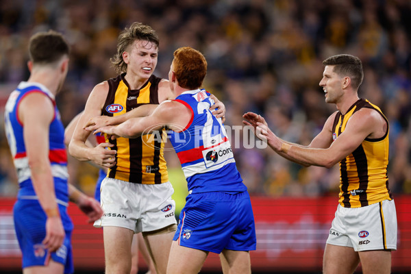 AFL 2024 Second Elimination Final - Western Bulldogs v Hawthorn - A-53728809