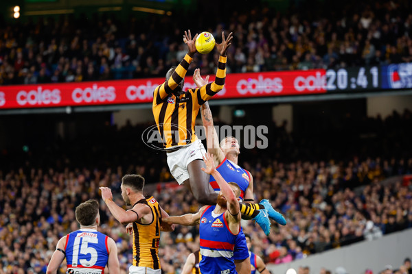 AFL 2024 Second Elimination Final - Western Bulldogs v Hawthorn - A-53728811