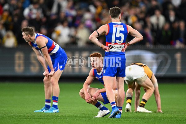 AFL 2024 Second Elimination Final - Western Bulldogs v Hawthorn - A-53728825