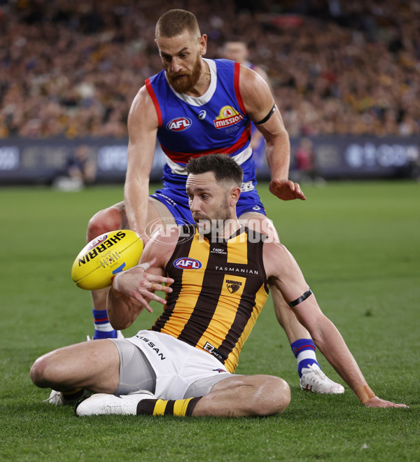 AFL 2024 Second Elimination Final - Western Bulldogs v Hawthorn - A-53728831