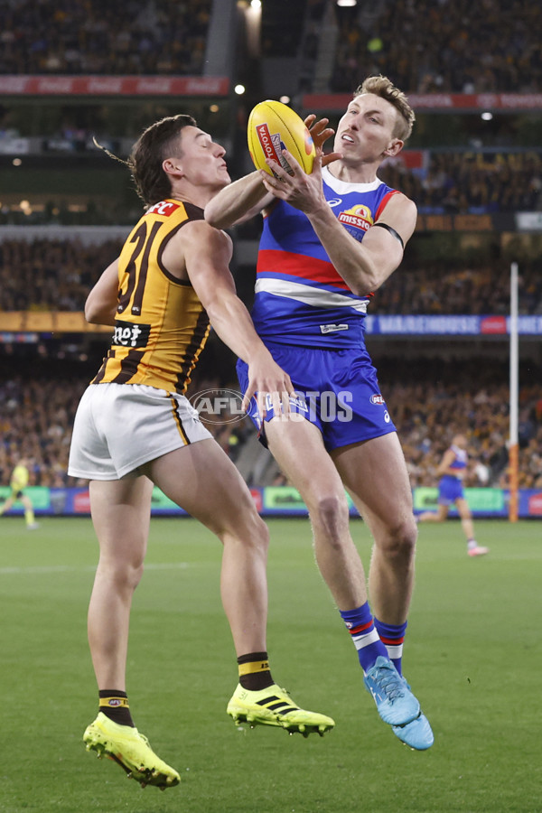 AFL 2024 Second Elimination Final - Western Bulldogs v Hawthorn - A-53728834