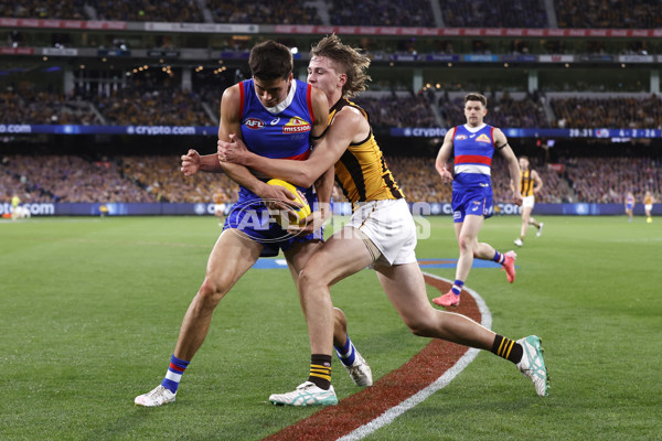 AFL 2024 Second Elimination Final - Western Bulldogs v Hawthorn - A-53730486