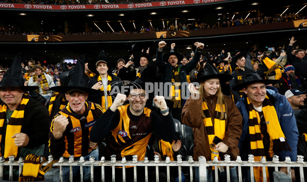 AFL 2024 Second Elimination Final - Western Bulldogs v Hawthorn - A-53730498