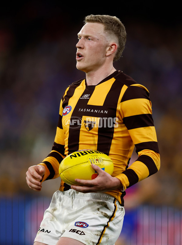 AFL 2024 Second Elimination Final - Western Bulldogs v Hawthorn - A-53730501