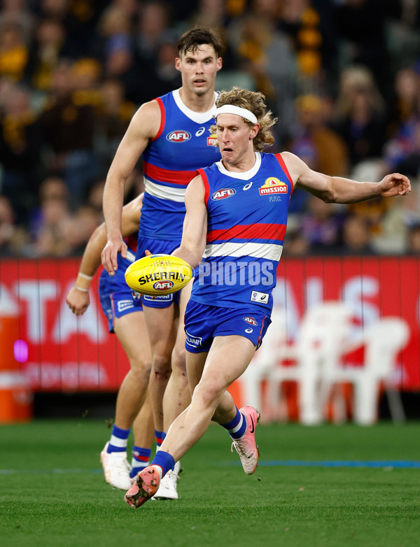 AFL 2024 Second Elimination Final - Western Bulldogs v Hawthorn - A-53730502