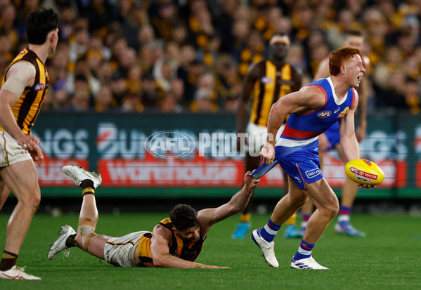 AFL 2024 Second Elimination Final - Western Bulldogs v Hawthorn - A-53730525