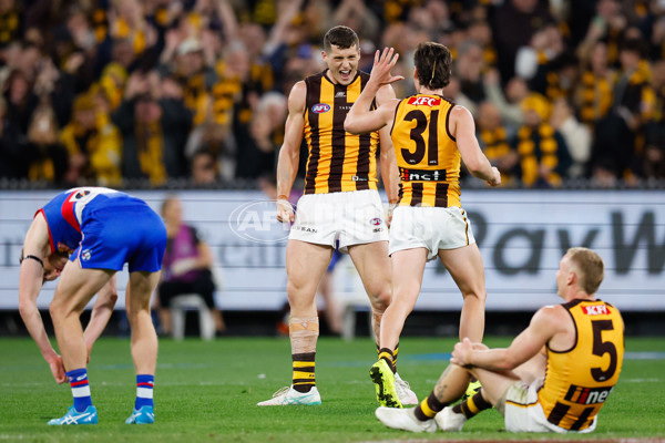 AFL 2024 Second Elimination Final - Western Bulldogs v Hawthorn - A-53730543