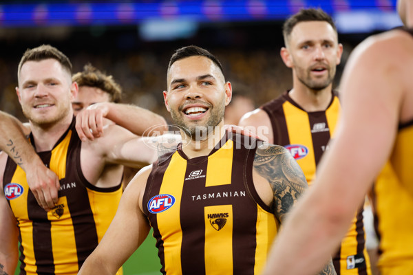 AFL 2024 Second Elimination Final - Western Bulldogs v Hawthorn - A-53730570