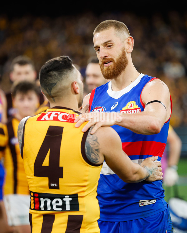 AFL 2024 Second Elimination Final - Western Bulldogs v Hawthorn - A-53730573