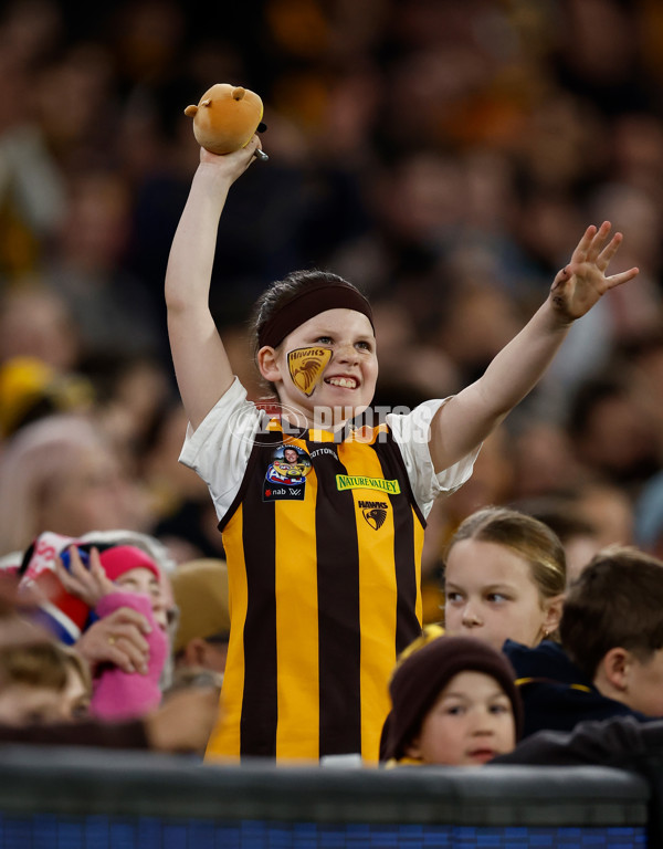 AFL 2024 Second Elimination Final - Western Bulldogs v Hawthorn - A-53730892