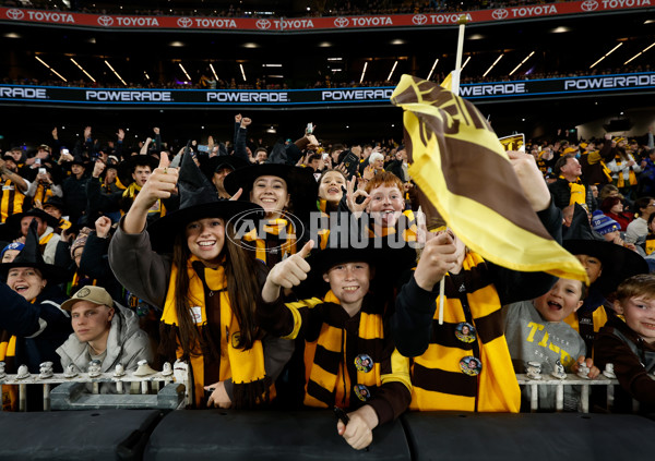 AFL 2024 Second Elimination Final - Western Bulldogs v Hawthorn - A-53730893
