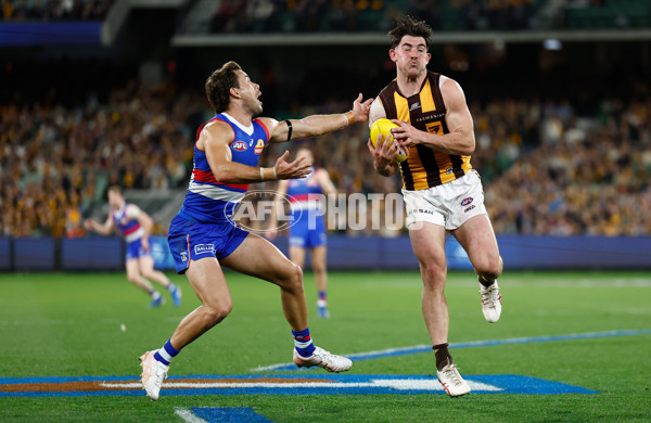 AFL 2024 Second Elimination Final - Western Bulldogs v Hawthorn - A-53730894