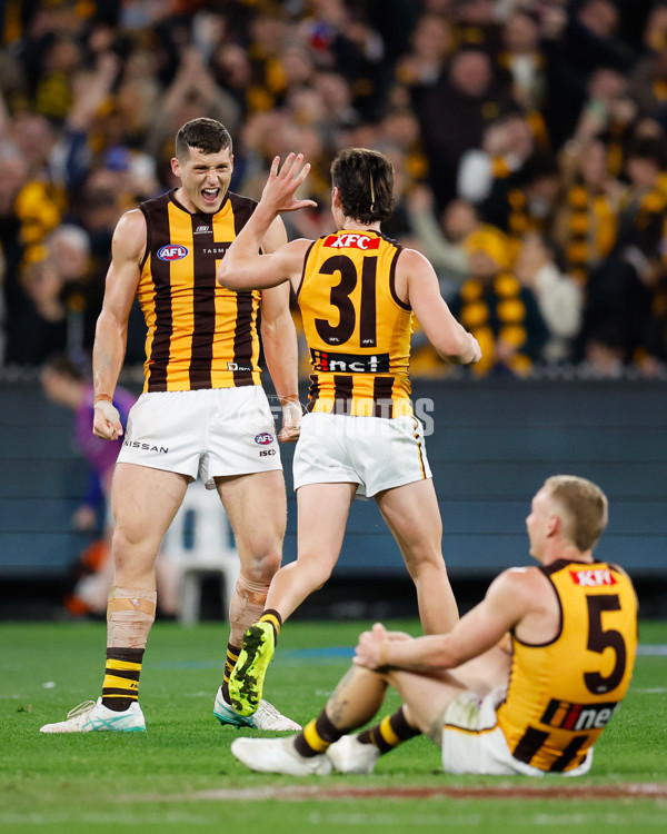 AFL 2024 Second Elimination Final - Western Bulldogs v Hawthorn - A-53730918