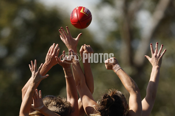 AFLW 2024 Round 02 - Melbourne v Brisbane - A-53734267