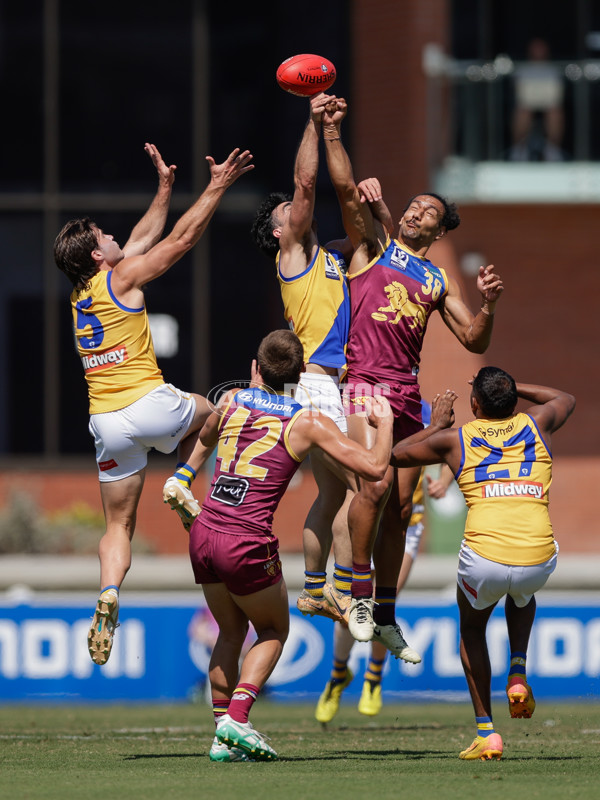 VFL 2024 Second Semi Final - Brisbane v Williamstown - A-53740041