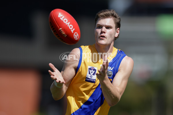 VFL 2024 Second Semi Final - Brisbane v Williamstown - A-53740067