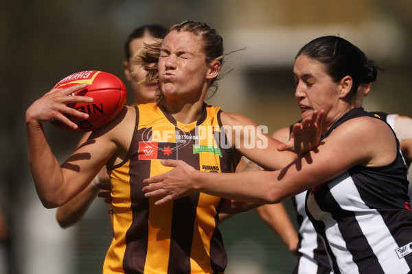 AFLW 2024 Round 02 - Collingwood v Hawthorn - A-53741241