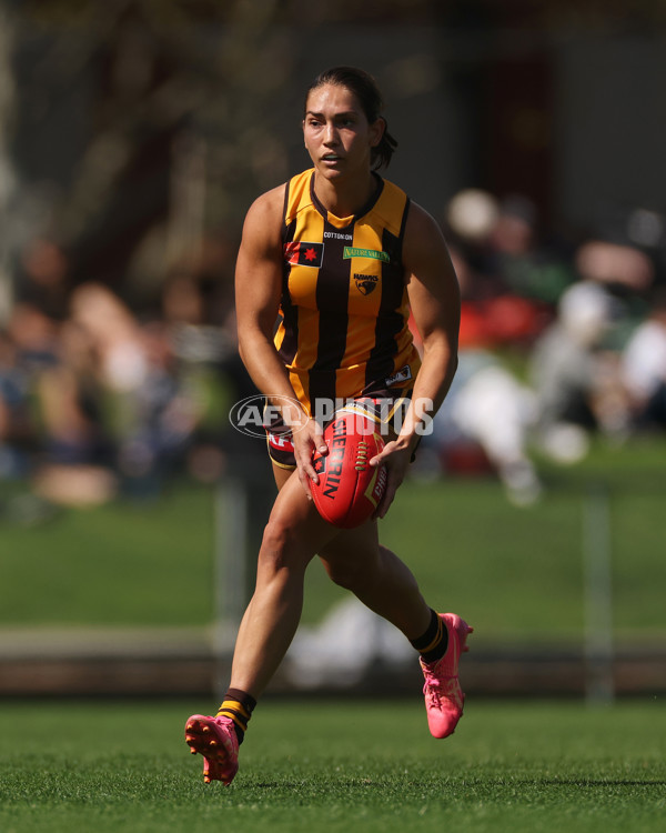 AFLW 2024 Round 02 - Collingwood v Hawthorn - A-53742688