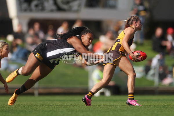 AFLW 2024 Round 02 - Collingwood v Hawthorn - A-53746635