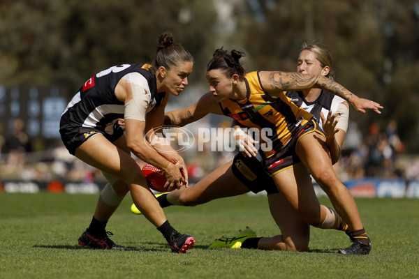 AFLW 2024 Round 02 - Collingwood v Hawthorn - A-53754461