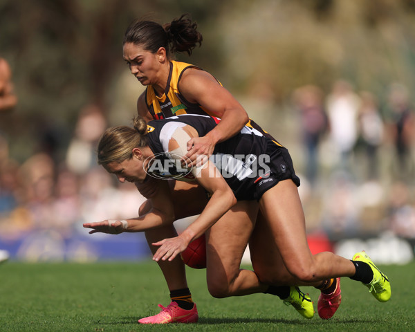 AFLW 2024 Round 02 - Collingwood v Hawthorn - A-53759869