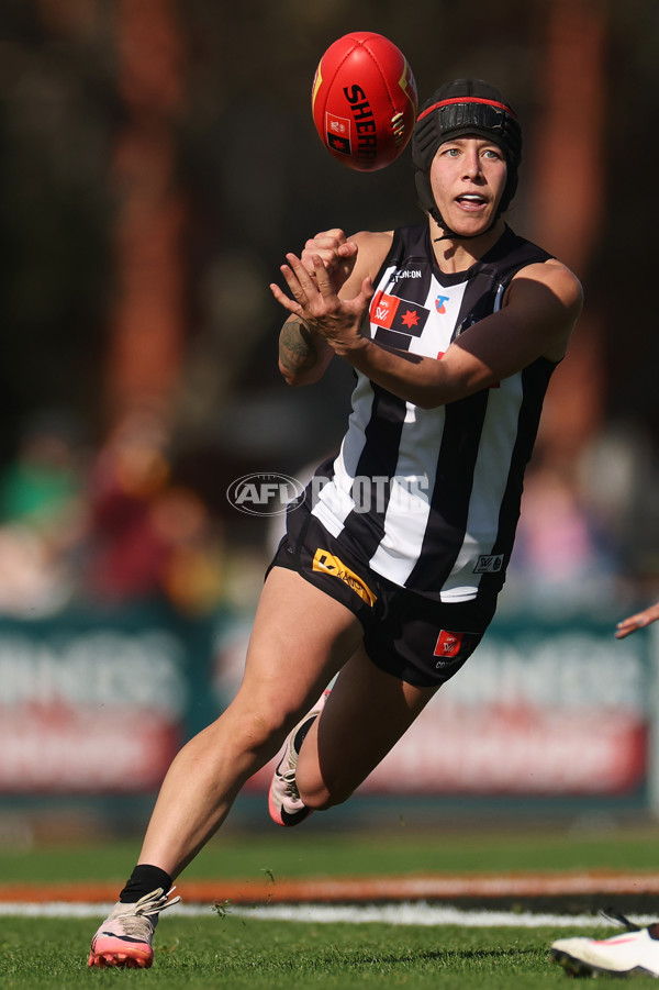 AFLW 2024 Round 02 - Collingwood v Hawthorn - A-53762467