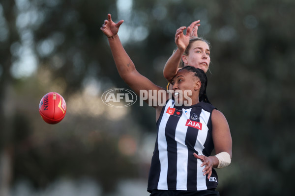 AFLW 2024 Round 02 - Collingwood v Hawthorn - A-53764148