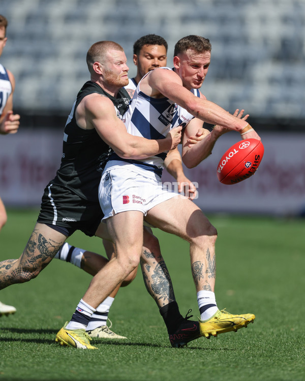 VFL 2024 First Semi Final - Geelong v Southport - A-53767108