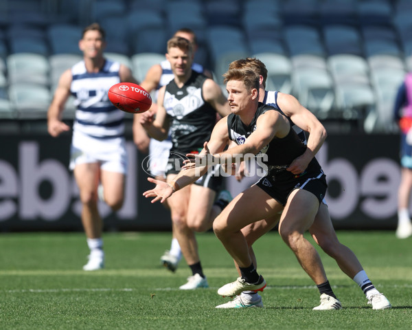 VFL 2024 First Semi Final - Geelong v Southport - A-53772402